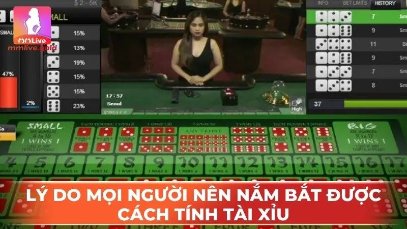 Lý do mọi người nên nắm bắt được cách tính tài xỉu